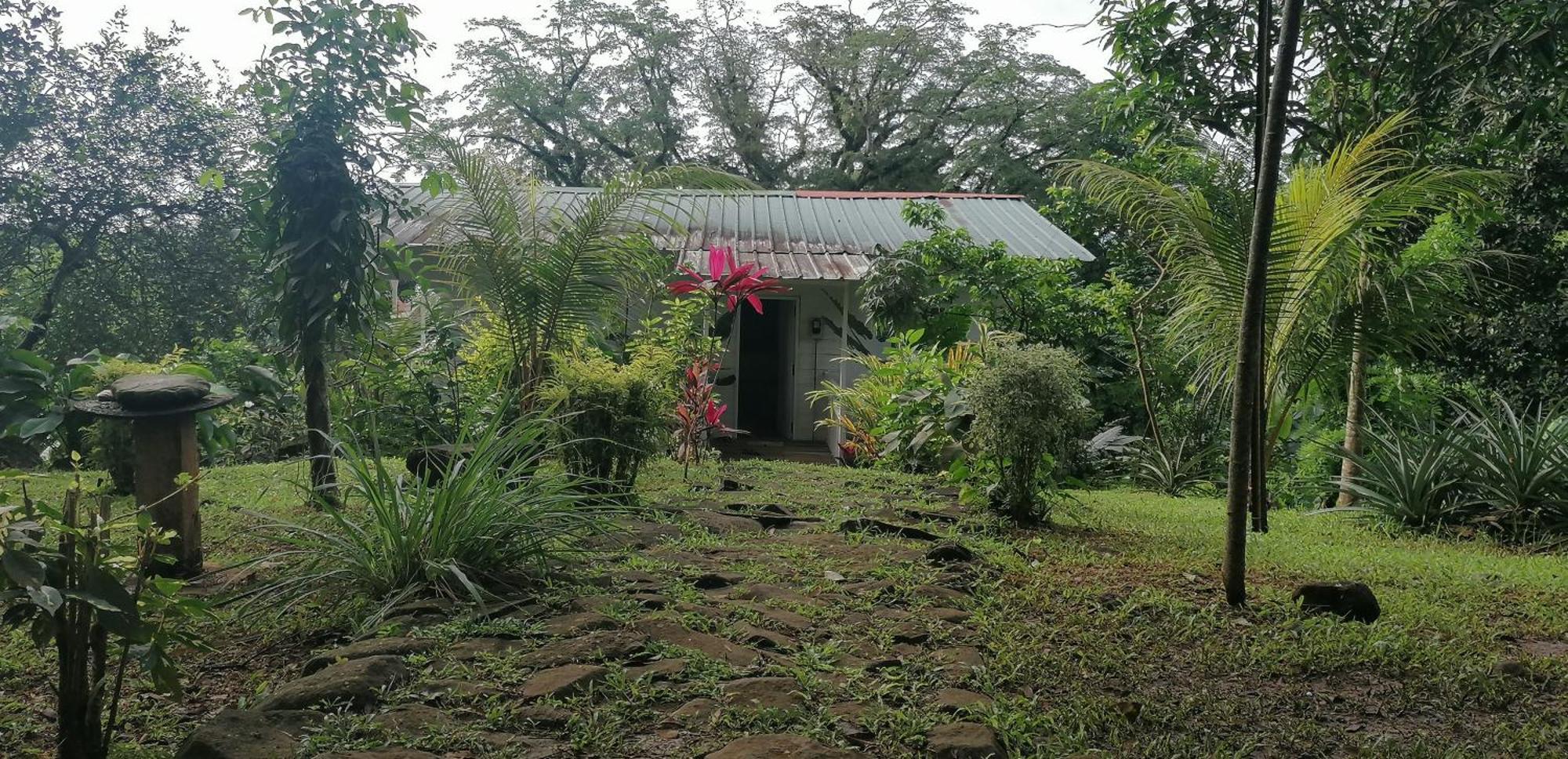 Vila Casa De Andrea Santo António Exteriér fotografie