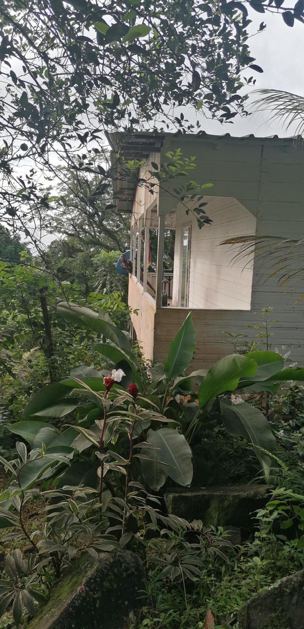 Vila Casa De Andrea Santo António Exteriér fotografie